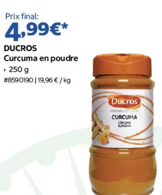 DUCROS Curcuma en poudre