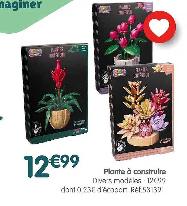 Plante à construire