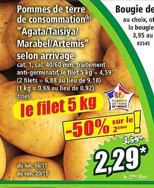 Pommes de terre de consommation(b) "Agata/Taisiya/Marabel/Artemis" selon arrivage