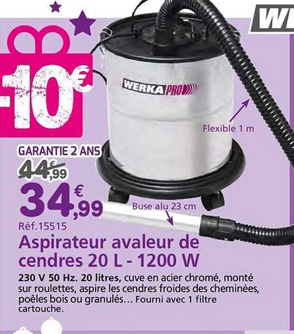 Aspirateur avaleur de cendres 20 L 1200 W