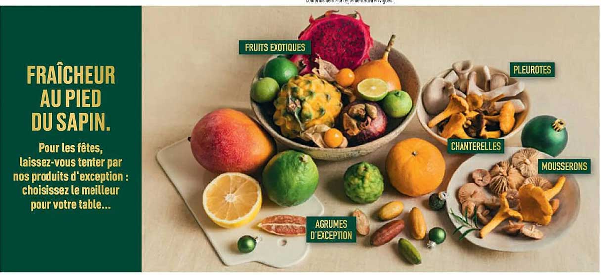 FRAÎCHEUR AU PIED DU SAPIN.