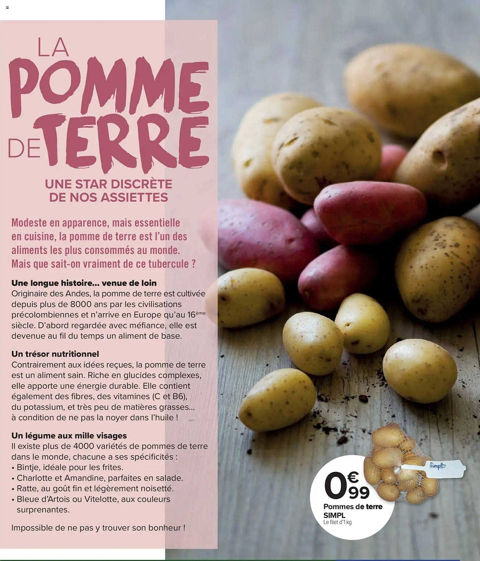 LA POMME DE TERRE