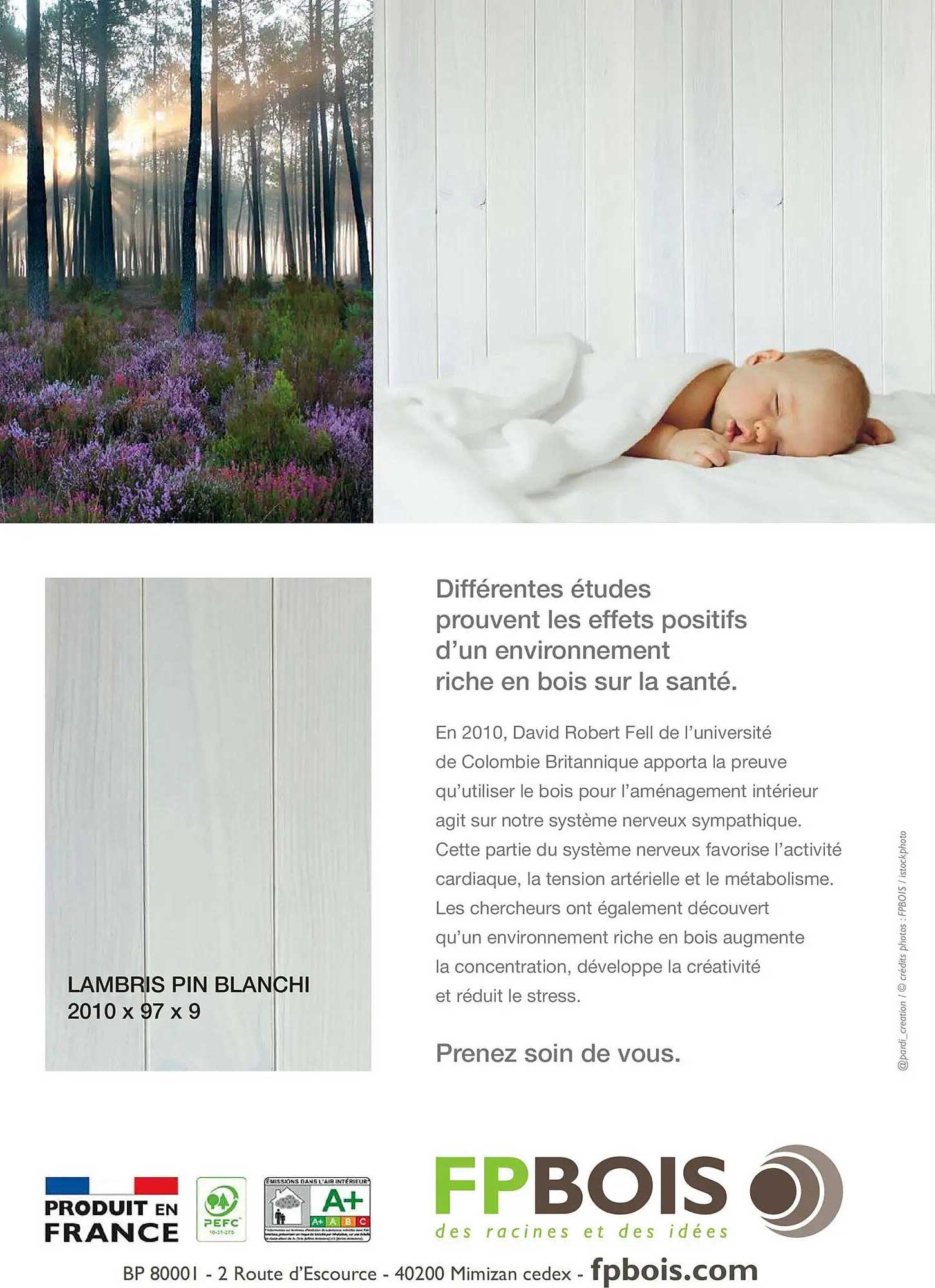 LAMBRIS PIN BLANCHI 2010 x 97 x 9