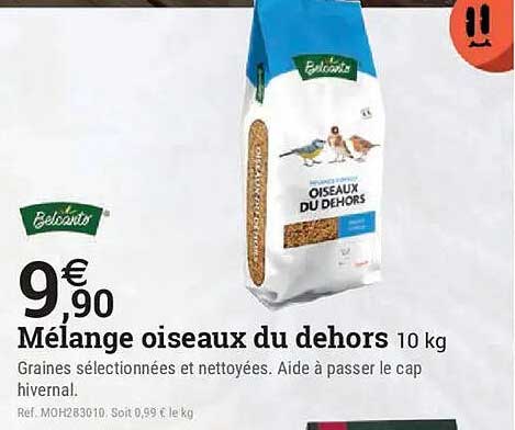 Mélange oiseaux du dehors 10 kg
