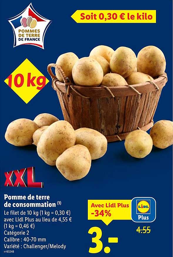 Pomme de terre de consommation XXL