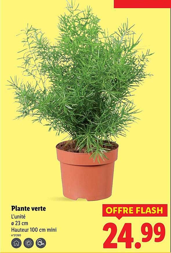 Sitemapcdatahttpswwcinfbizidplante Verte Lidl