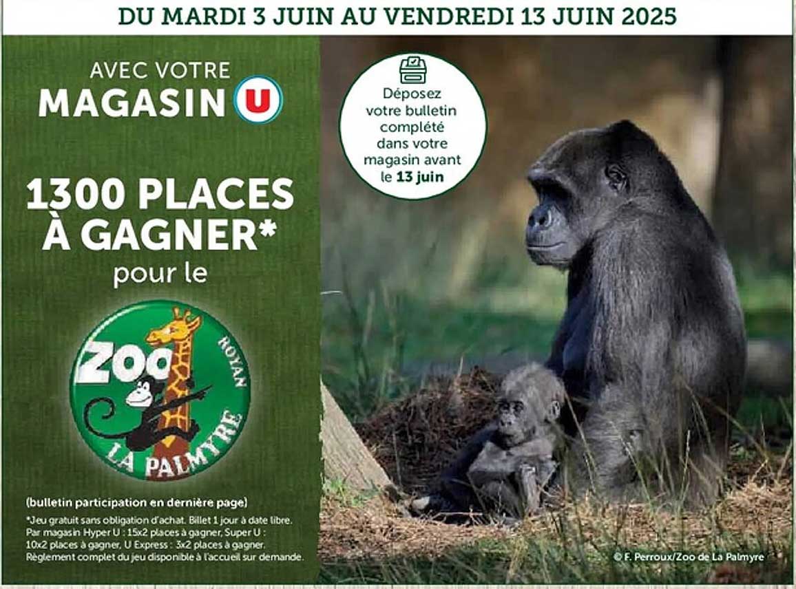 1300 PLACES À GAGNER* pour le Zoo La Palmyre