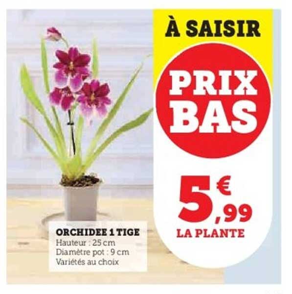 À SAISIR