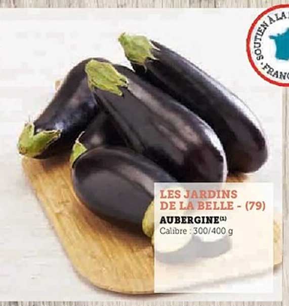 AUBERGINE