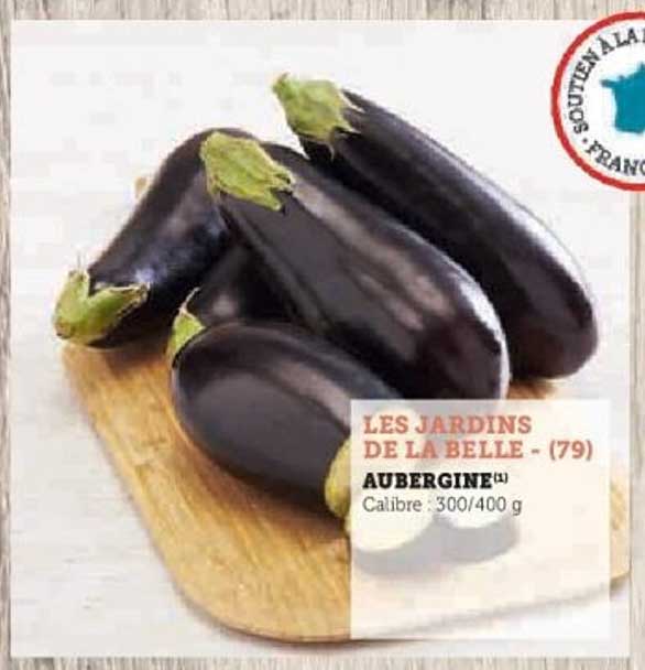 AUBERGINES
