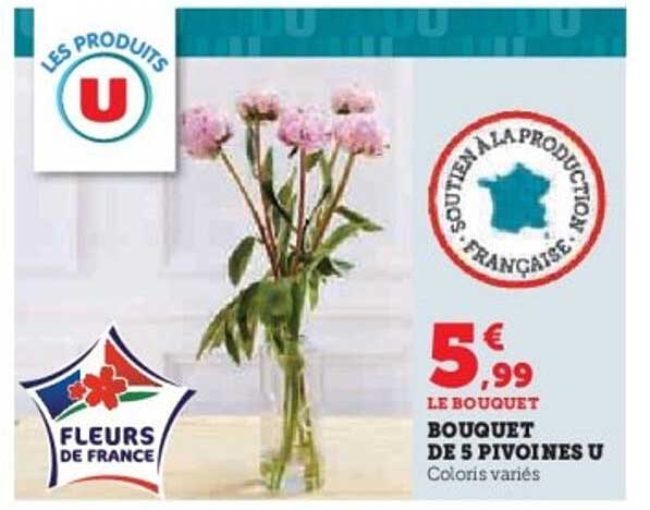 BOUQUET DE 5 PIVOINES U