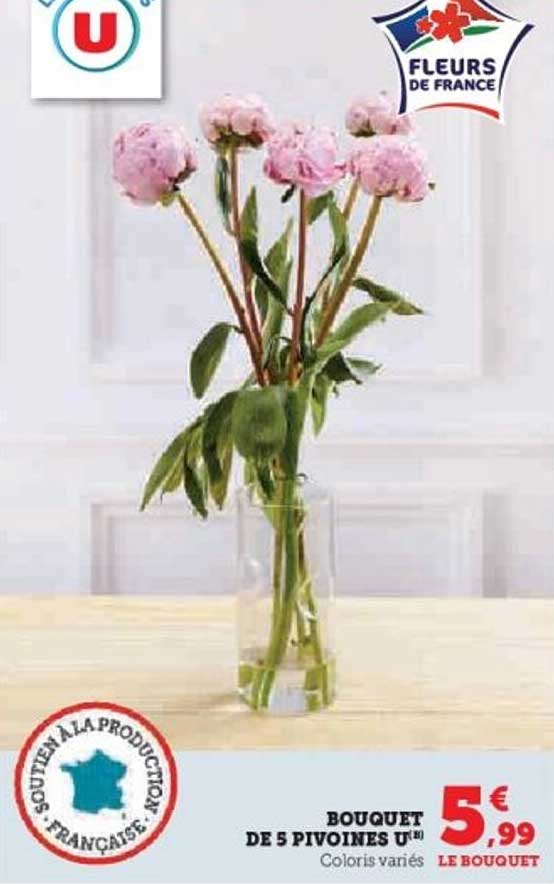 Bouquet de 5 Pivoines U