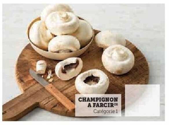 CHAMPIGNON À FARCIR