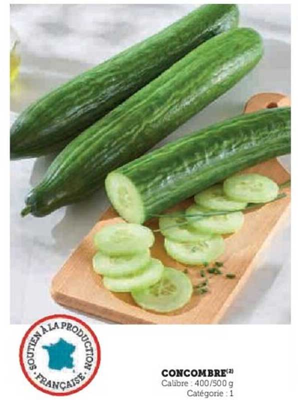 CONCOMBRE