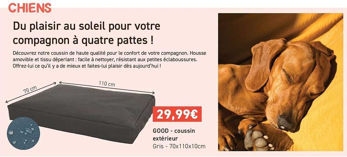 Du plaisir au soleil pour votre compagnon à quatre pattes !