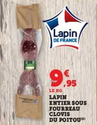 LAPIN ENTIER SOUS FOURREAU CLOVIS DU POITOU