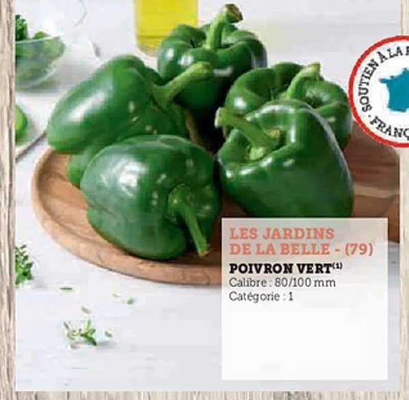 POIVRON VERT