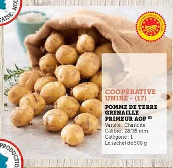POMME DE TERRE GRENTAILLE PRIMEUR AOP