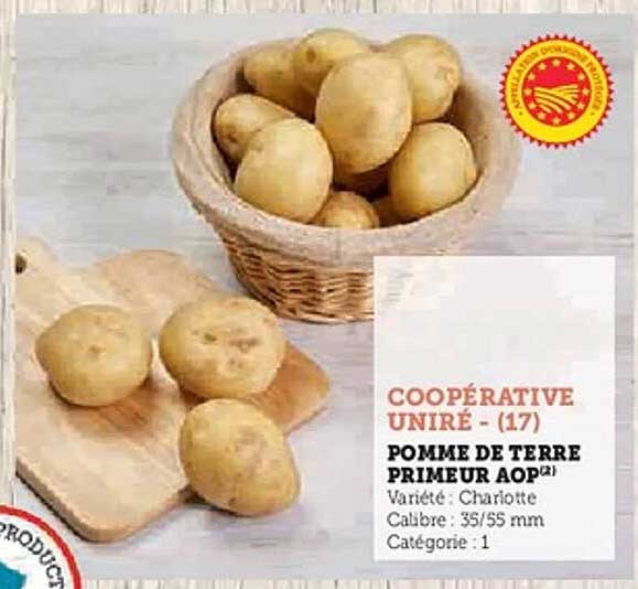 POMME DE TERRE PRIMEUR AOP