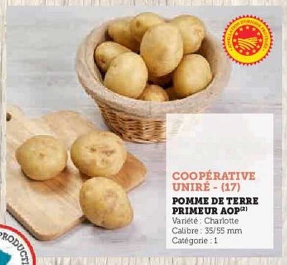 POMME DE TERRE PRIMEUR AOP