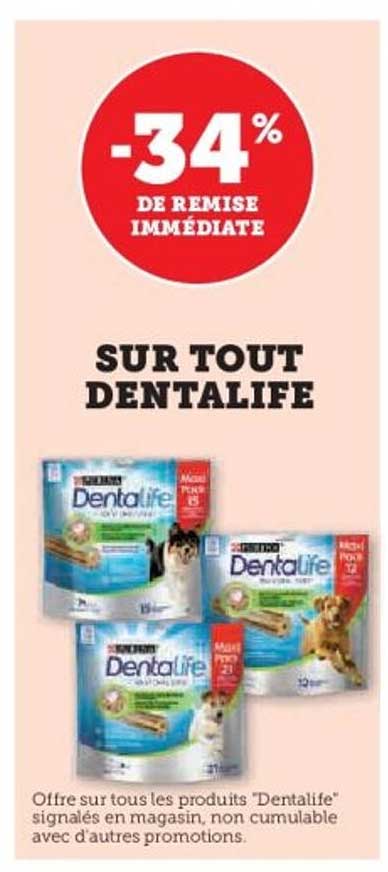 SUR TOUT DENTALIFE