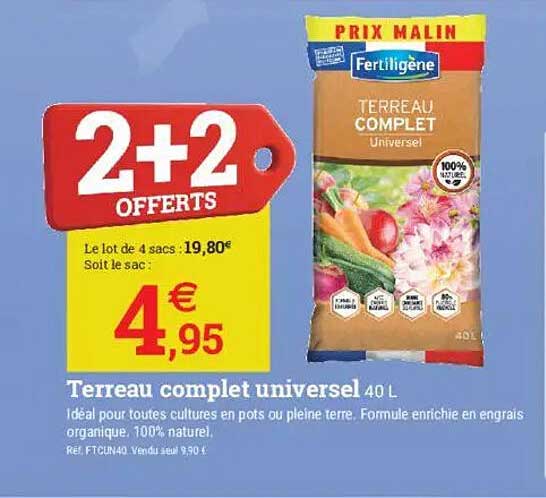2+2 OFFERTS