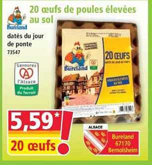 20 oeufs de poules élevées au sol