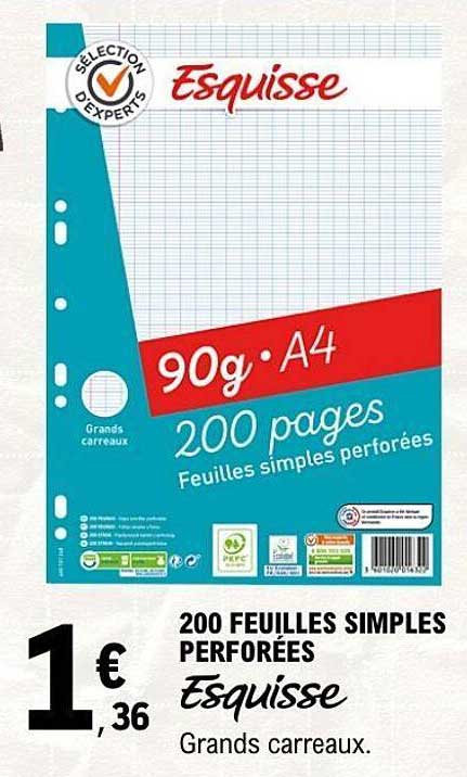 200 FEUILLES SIMPLES PERFORÉES Esquisse Grands carreaux.
