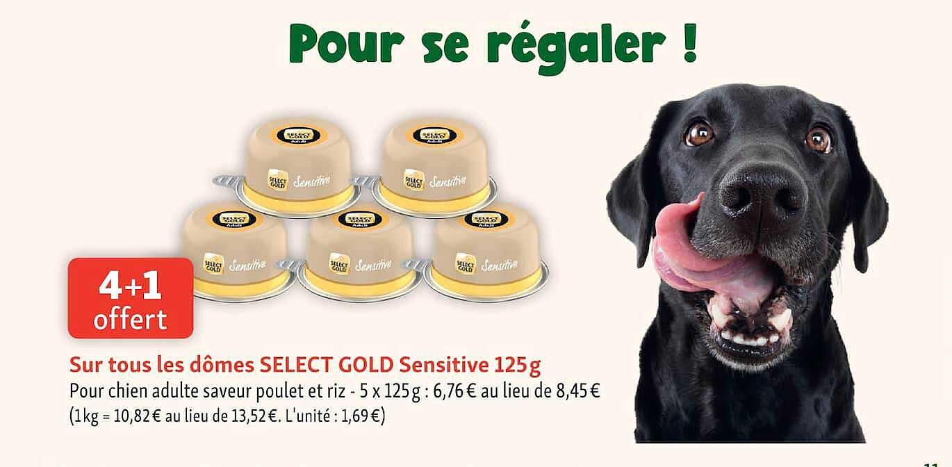 4+1 offert