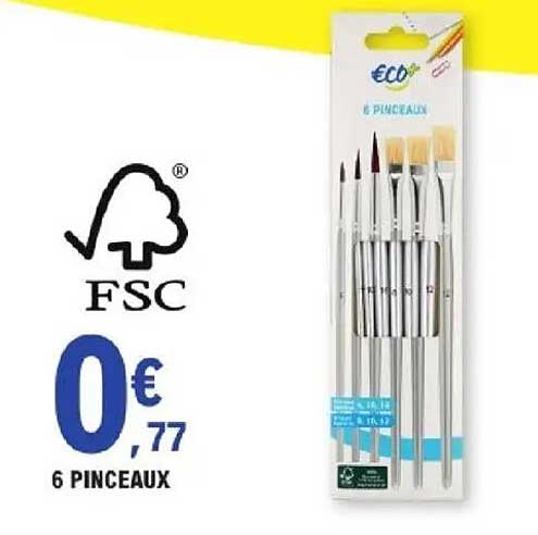 6 PINCEAUX