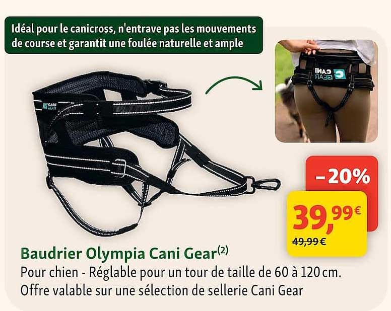 Baudrier Olympia Cani Gear(2)