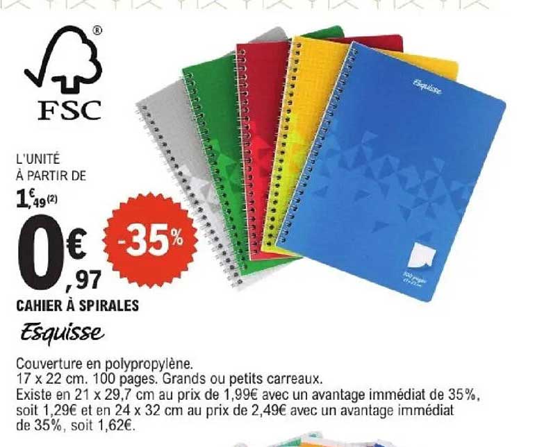 CAHIER A SPIRALES Esquisse