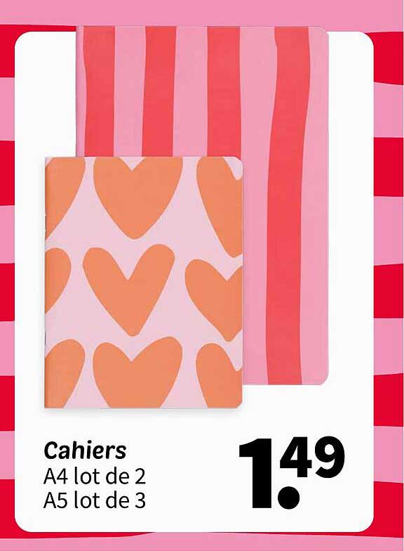 Cahiers A4 lot de 2 A5 lot de 3
