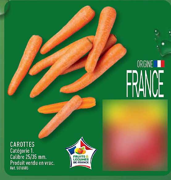 CAROTTES