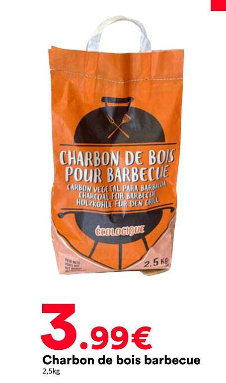 Charbon de bois barbecue