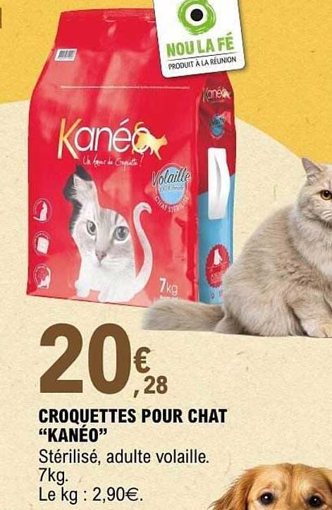 CROQUETTES POUR CHAT “KANÉO”
