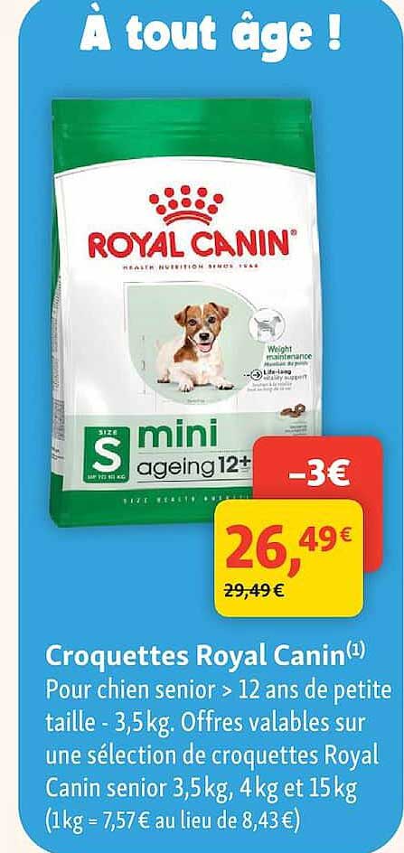 Croquettes Royal Canin