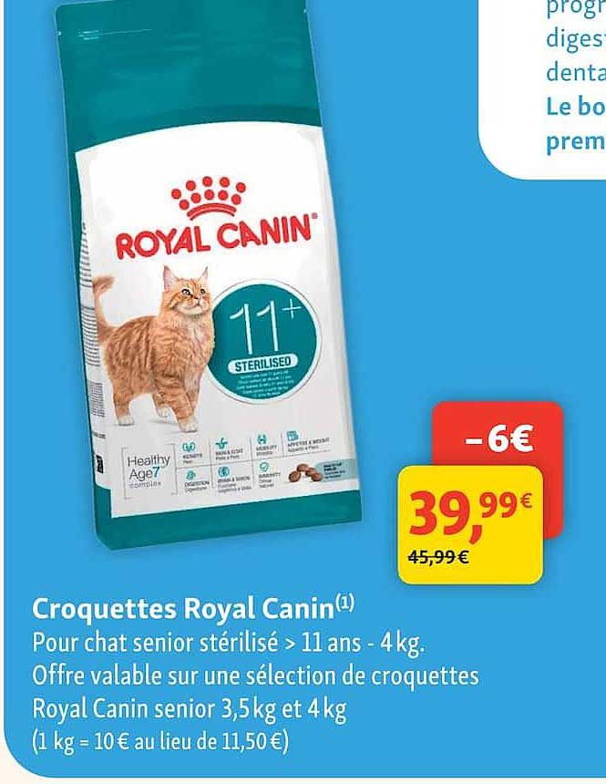 Croquettes Royal Canin