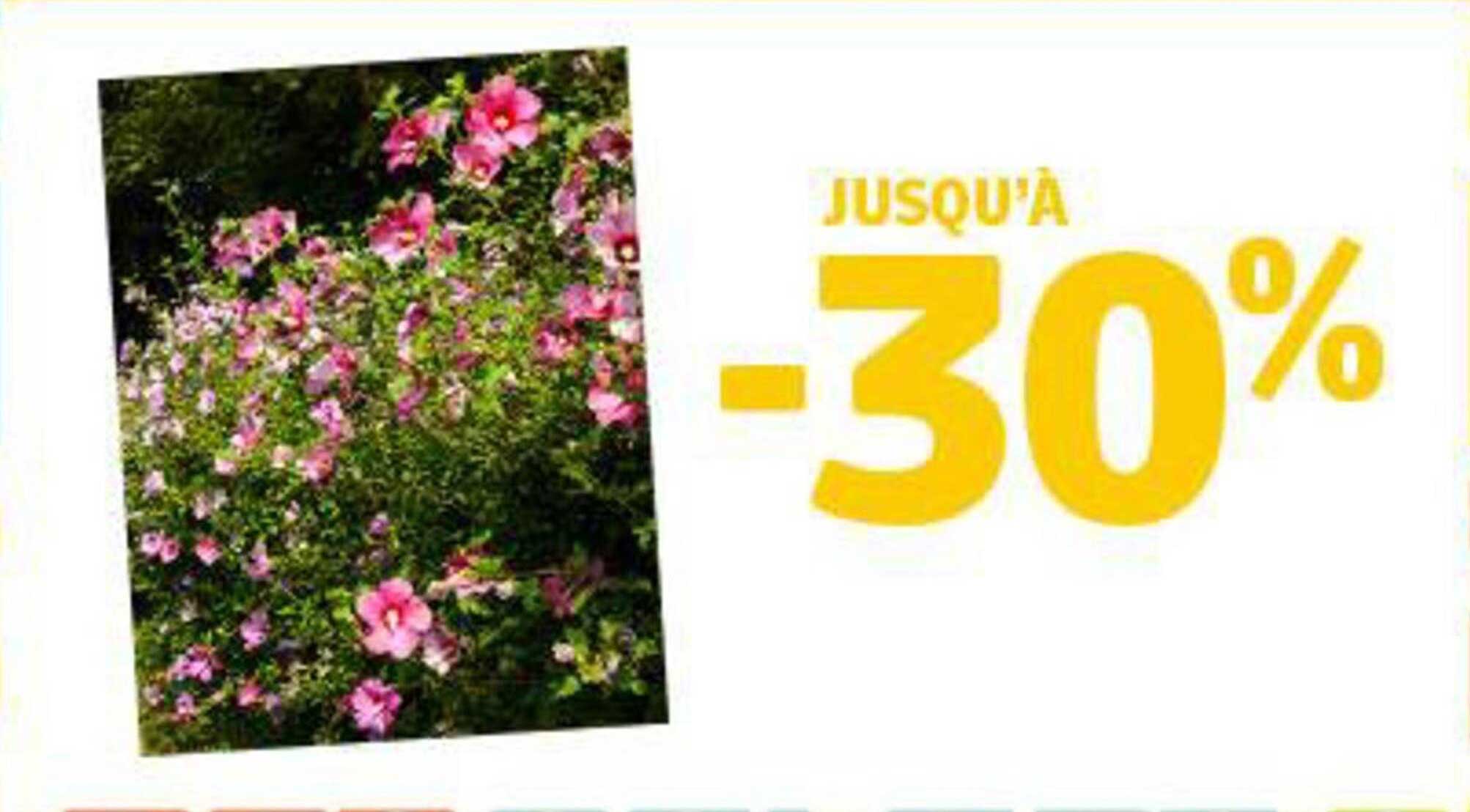 JUSQU'À -30%