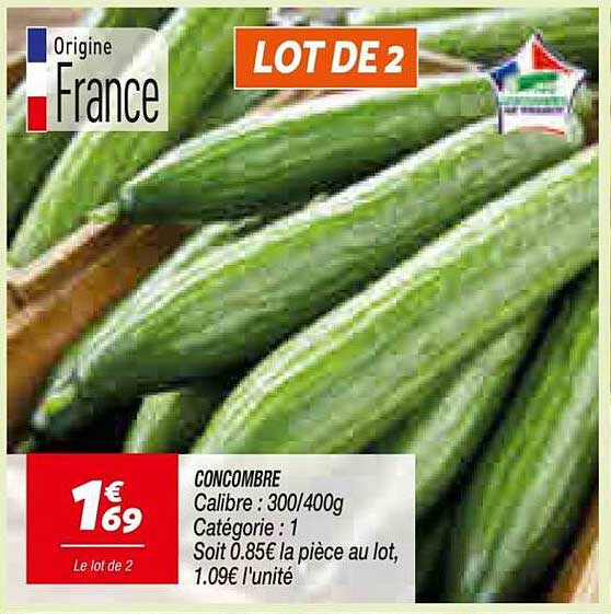 LOT DE 2 CONCOMBRE