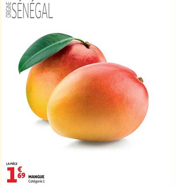 MANGUE Catégorie 1