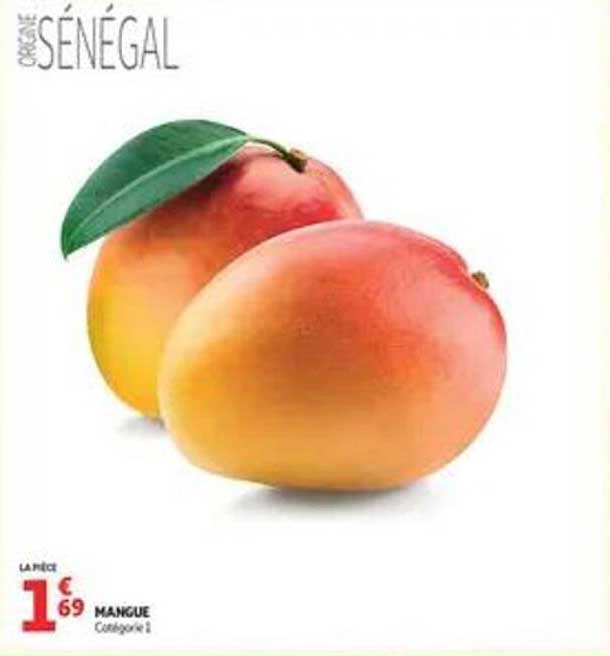 MANGUE Catégorie 1