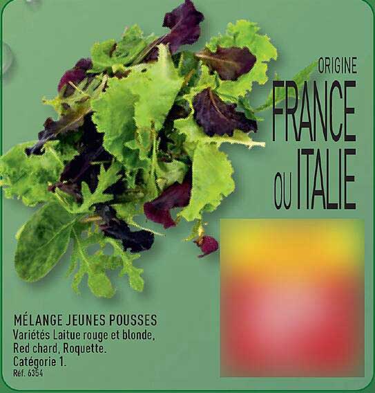 MÉLANGE JEUNES POUSSES
