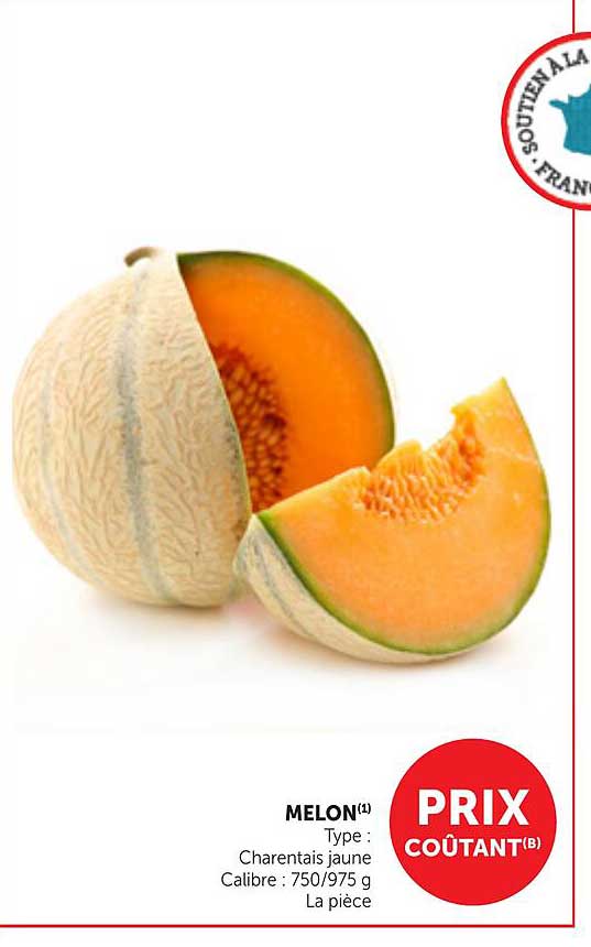 MELON(1)