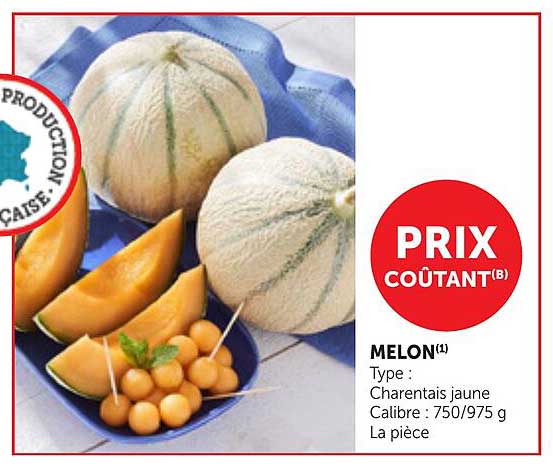 MELON(1)