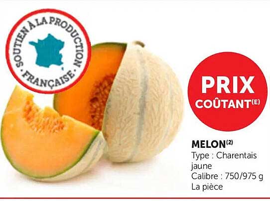 MELON(2) Type : Charentais jaune Calibre : 750/975 g La pièce