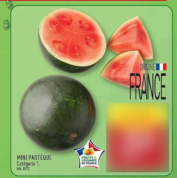 MINI PASTÈQUE