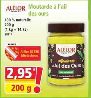 Moutarde à l’ail des ours