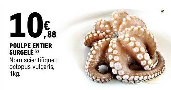 POULPE ENTIER SURGELÉ
