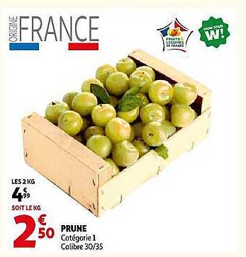 PRUNE